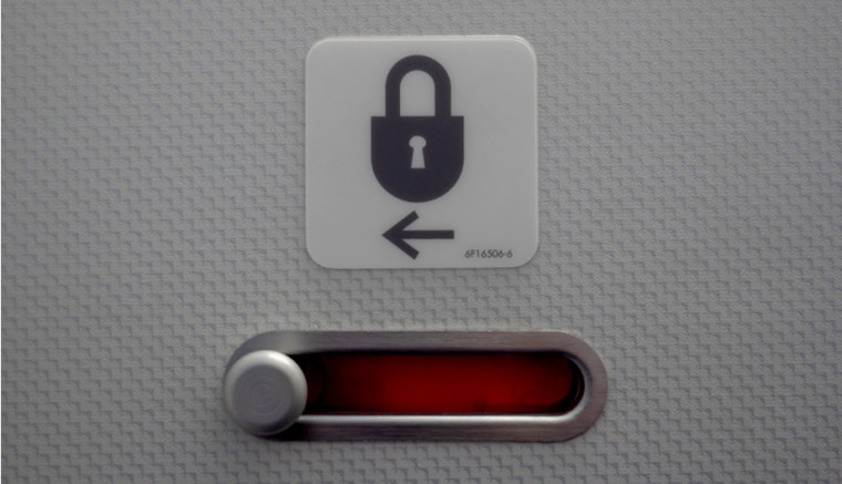 Mile High Club Sex Airplane Toilet