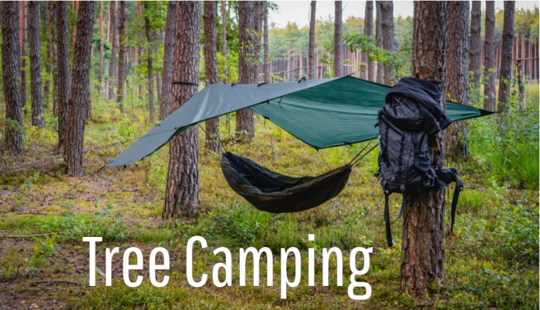 Tree Camping Outdoor Sports 